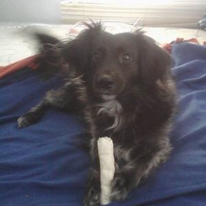 Meet your Posher, Mindy